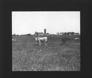 Rom (Campagna bei Rom)
