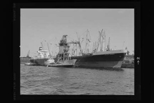 Bertram Rickmers (1979), Frachtschiff, Rickmers-Linie KG, Hamburg, Bau-Nr. 1013
