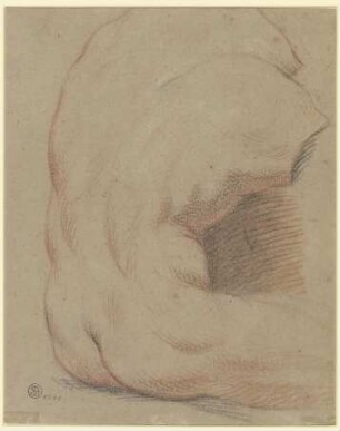 Rückenansicht eines männlichen Torso (Torso vom Belvedere)