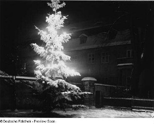 Langenhennersdorf, beleuchteter Weihnachtsbaum vor dem Rittergut bei Nacht