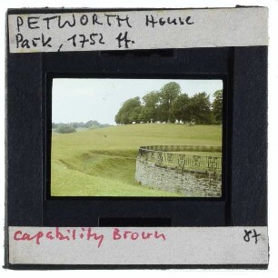 Pethworth House : Park