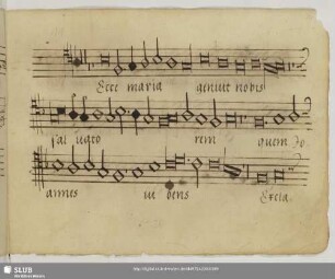 [Anonymus:] Ecce Maria genuit