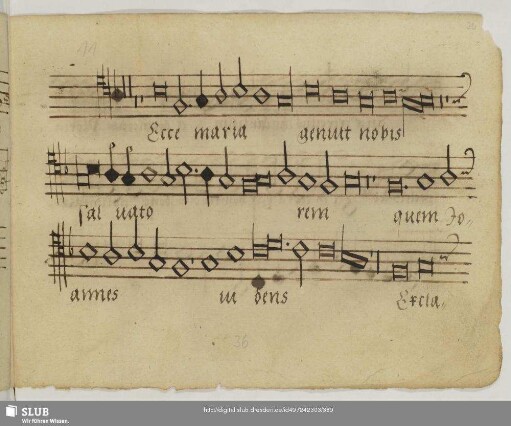 [Anonymus:] Ecce Maria genuit