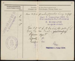 Militärpaß von Max Hermann Angermann : Militärpass, aufgeschlagen, Seite [24] und [25], von Grenadier Max Hermann Angermann (1. Ersatz-Bataillon, 1. (Leib-) Grenadier-Regiment No 100, 1. Kompanie), ausgestellt am 5. Februar 1916, Dippoldiswalde. Dresden: SLUB Mscr.Dresd.Aut.3079