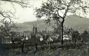 Neustadt a.d.W.: H. Reinhard, Neustadt