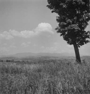 Landschaft (Kamerunreise 1937)