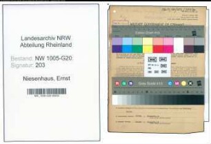 Entnazifizierung Ernst Niesenhaus , geb. 08.05.1901 (Tischler)