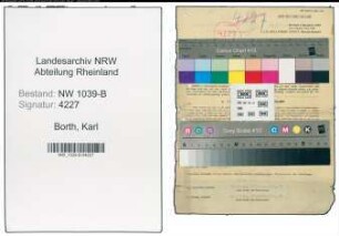 Entnazifizierung Karl Borth , geb. 20.09.1886 (Schriftleiter)