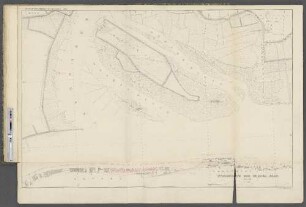 Blatt VIII. : Ross. Griesenwärder. Mühlenwärder. Maakenwärder. Altona. Neumühlen.
