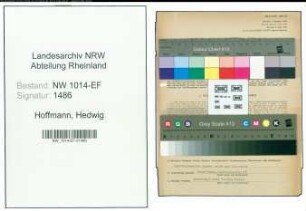 Entnazifizierung Hedwig Hoffmann , geb. 20.03.1904 ()