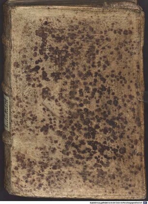 Sibylliakōn chrēsmōn logoi oktō : Adiecta quoquae sunt lactantii excerpta de his testimonia = Sibyllinorum oraculorum libri octo