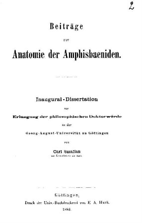 Beiträge zur Anatomie der Amphisbaeniden
