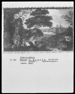 Waldlandschaft mit schilfigem Weiher