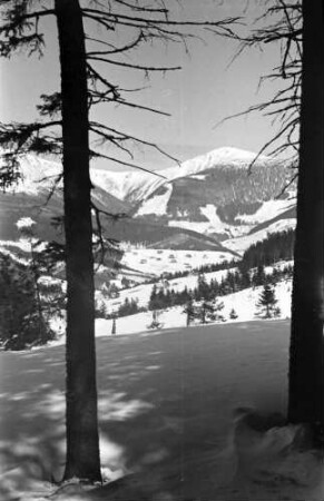 Schneepkoppe: Blick auf die Koppe, von der Stufenseite