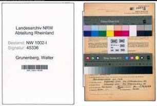 Entnazifizierung Walter Grunenberg, geb. 22.02.1903 (Ingenieur)