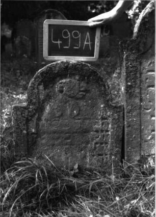 Grabstein 499A (Index: 100102628) Material: Sandstein Zustand: stark verwittert, abgeblättert, weitgehender Textverlust Maße HxBxT: 66x52x8 cm Beschreibung: Stele, eingezogener Rundbogenabschluss, Schriftfeld eingetieft mit Konvexbogenabschluss, im Bogen Ornament (verwittert): Grabstein 499A