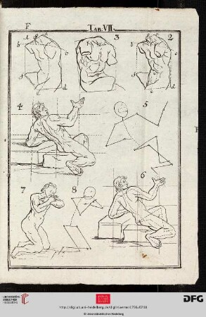 Tab. VII [Torso, Akt (Proportionen; Gelenkschemata)]