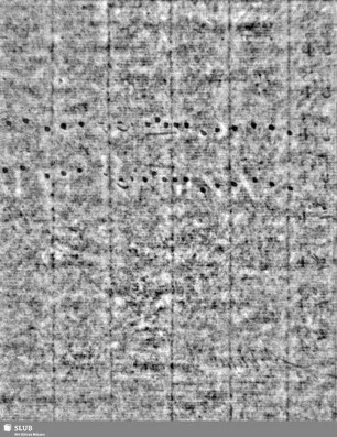 Lilienschild + IESV / LW = S.1/2