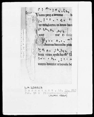 Graduale — Initiale D (ominus fortitudo), Folio 91verso