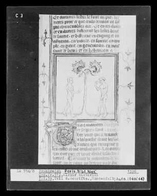 Miroir historial, fol. 30, Sündenfall
