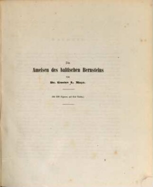Die Ameisen des baltischen Bernsteins