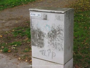 FLiP
