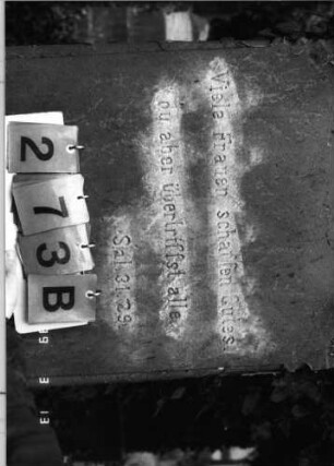Grabstein 273 (Index: 100093384) Maße HxBxT: 199x73x49 cm Symbolik: Verzierungen: Grabstein 273B