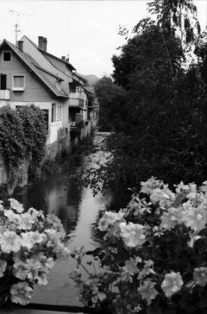 Zell am Harmersbach: Harmersbach von der Brücke, Vordergrund Blumen