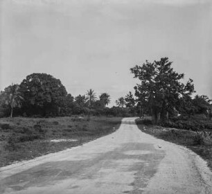 Straße : Blick entlang einer Straße durch Mombasa
