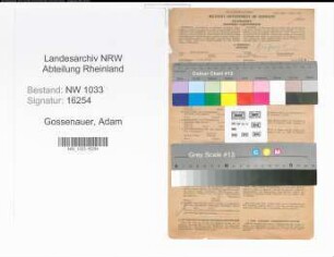 Entnazifizierung Adam Gossenauer , geb. 02.09.1891 ()