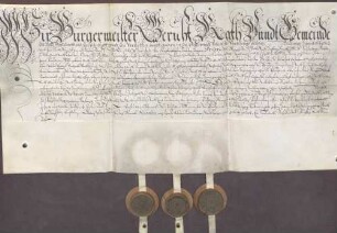 Erbhuldigungsrevers der Stadt Pforzheim und ihrer Zugehörigen als Leibeigene gegen Markgraf Friedrich VI. von Baden-Durlach nach Ordnung und Freiheit der Stadt