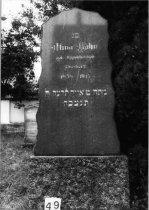 Grabstein 49 (Index: 99804540) Material: Granit Zustand: gut Maße HxBxT: 160x66x27 cm Beschreibung: Stele mit unregelmäßigem Rand, Sockel, Rundbogenabschluß: Grabstein 49