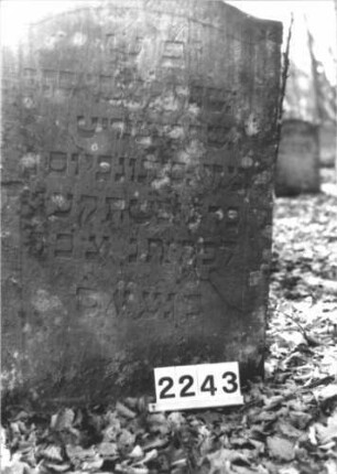 Grabstein 2243 (Detailaufnahme)