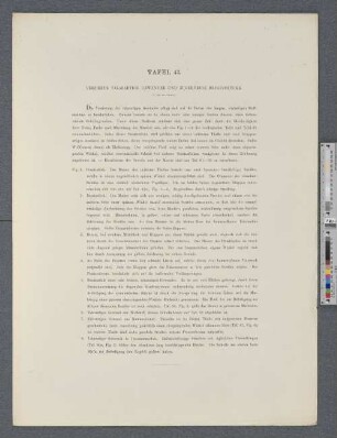 Tafel 43. Verzierte talarartige Gewänder und zugehörige Besatzstücke.