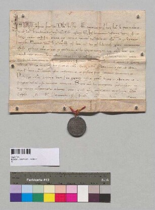 Papst Innozenz IV. nimmt das Kloster Oberaltaich in seinen Schutz.; S: A