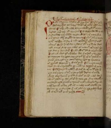 Exemplum. Quid scribit caro et cinis omnis caro fenum etc