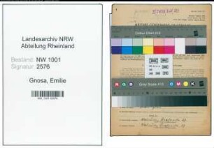 Entnazifizierung Emilie Gnosa, geb. 06.09.1897 (Kauffrau)