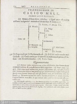 Phaenomenon IV. Caligo Mali, Summo Bono Oppositi
