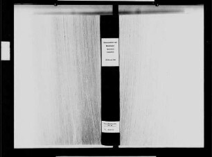 Hohensachsen, evangelische Gemeinde: Geburtenbuch 1810-1869