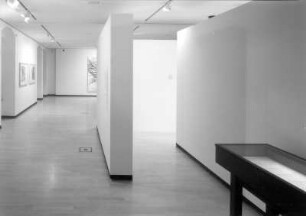 Dresden: Kupferstich-Kabinett, Ausstellung Kami. Silence - Action. Japanische Kunst der Gegenwart auf Papier. 15. Oktober 2009 - 4. Januar 2010, Raumaufnahme