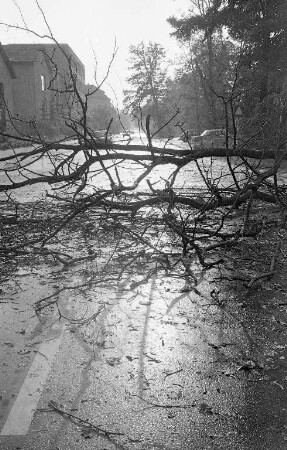 Schweres Unwetter über Karlsruhe mit schweren Sturmschäden.