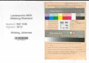 Entnazifizierung Johannes Wolsing , geb. 18.09.1885 ()