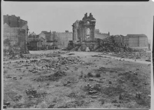 Neumarkt mit Ruine der Frauenkirche : Dresden, Neumarkt, weidende Schafe an der Ruine der Frauenkirche