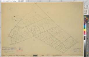 Rheine r.d.E. (Rheine), Flurbereinigung Altenrheine, Schätzungskarte Rheine r.d.E. Flur 11