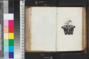 Leutrum von Ertingen, ...; Blatt 96