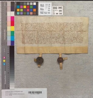 Simon III. zur Lippe u. Bernhard VI. verpachten die vorgen. Liegenschaften an die vorgenannten Pächter.