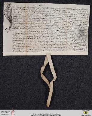 Vorderseite