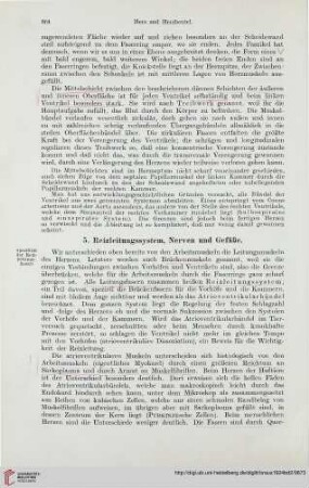 5: Reizleitungssystem, Nerven und Gefäße