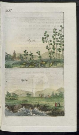 Taf. XI. Fig. 33. - Fig. 34.