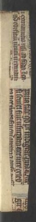 Fragment: Decretum Gratiani (14. Jh., Falzverstärkung, s. auch vorn)
